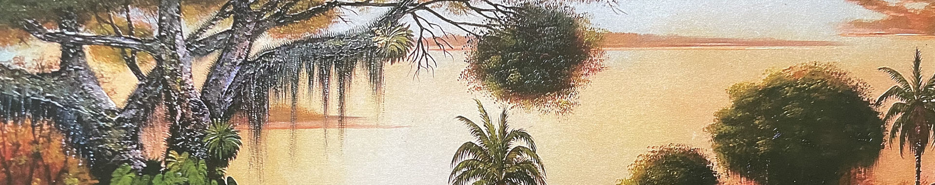 Imagen de portada
