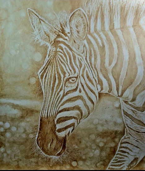 zebra Oil Canvas Animals