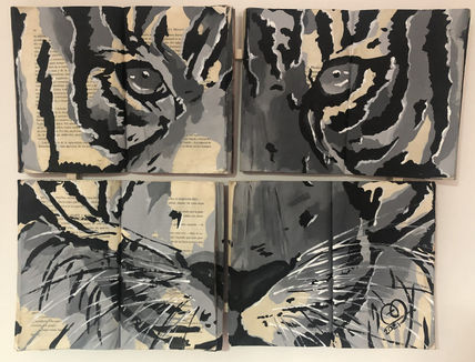 Mirada salvaje