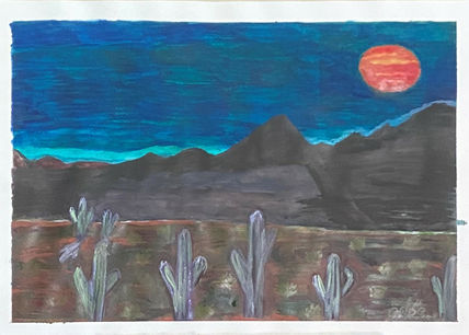Arizona sunset