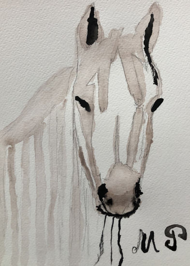 Caballo Watercolour Paper Animals