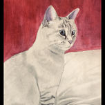 Cats thumbnail 1