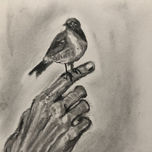 Animales thumbnail 1