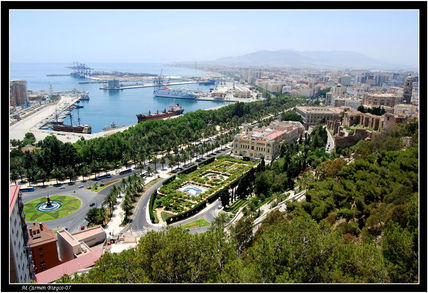 Málaga verde, teja...