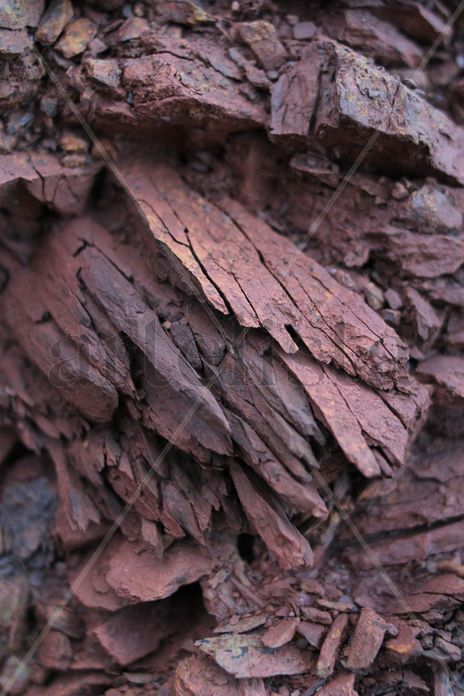 Texture