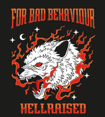 Bad behaviour