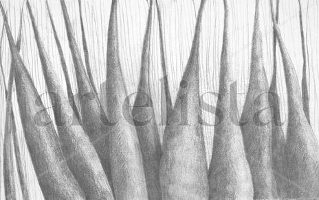 Conductos