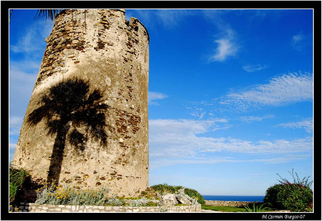 Jaque mate a la palmera Arquitectura e interiorismo Color (Digital)