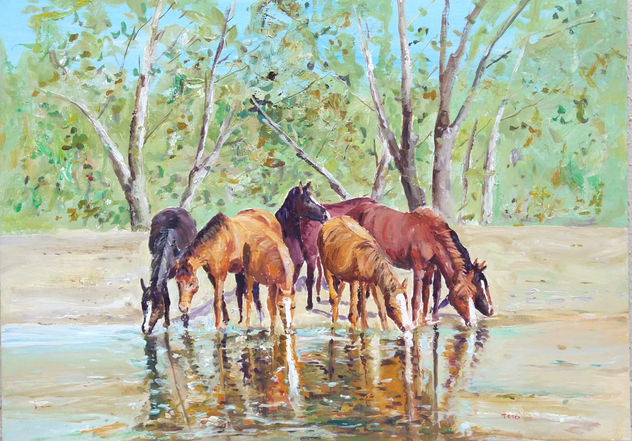 Caballos salvajes tomando agua