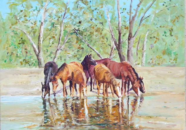 Caballos salvajes tomando agua Acrylic Panel Animals