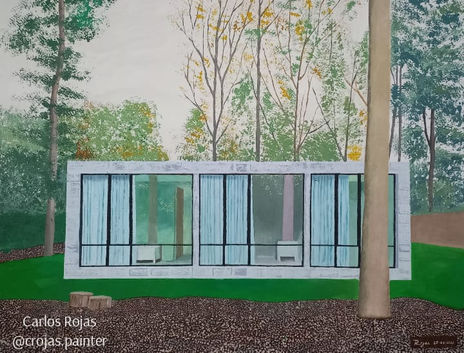 Casa con vegetacion