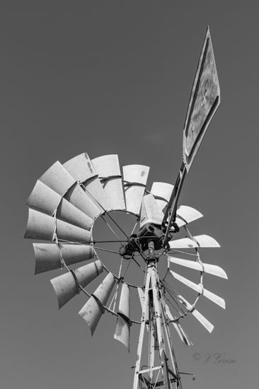 The Wind of the Old West Otras temáticas Blanco y Negro (Digital)