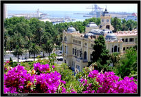 Ayuntamiento y farola