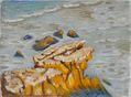Cala de higueros