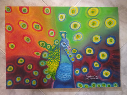 Pavo real / peacock