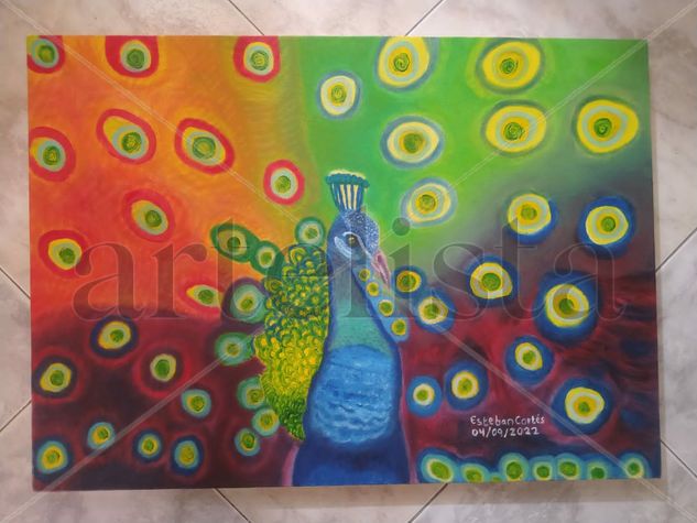 PAVO REAL / PEACOCK Oil Canvas Animals