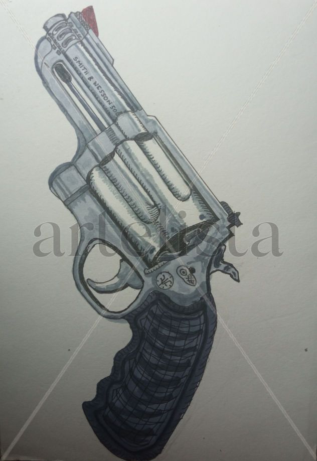 S&W 500
