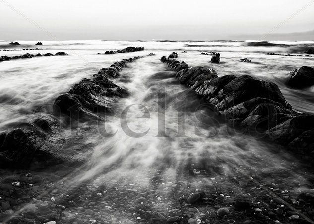 Barrika Nature Black and White (Digital)