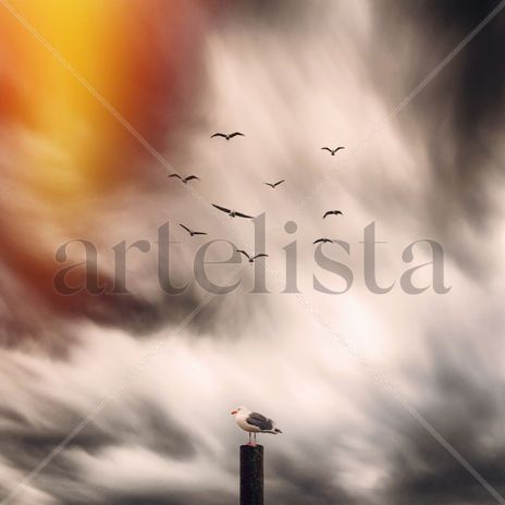 Gaviota