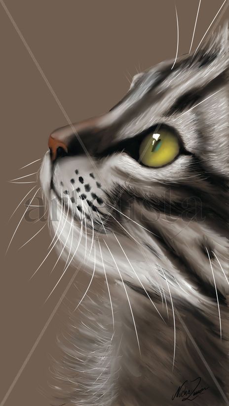 Gato pardo