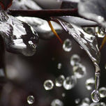 Fotografias thumbnail 2