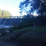 Bosques thumbnail 1
