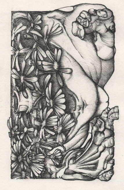 Primavera