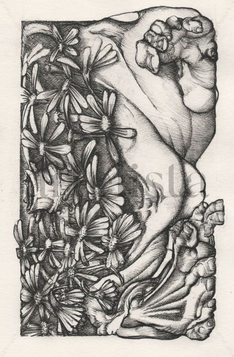 Primavera
