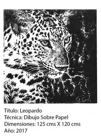 Leopardo