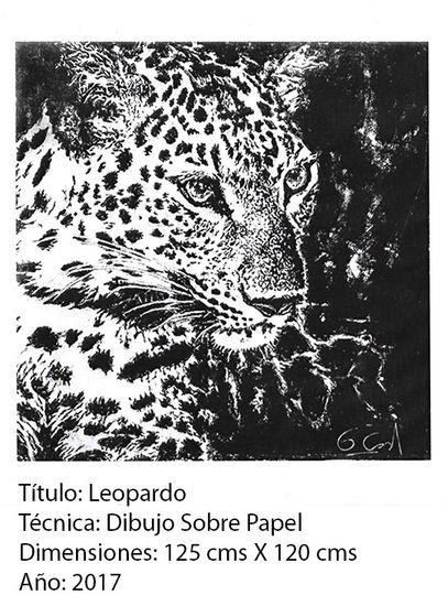 Leopardo Litography