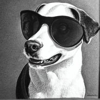 Perro animal cool