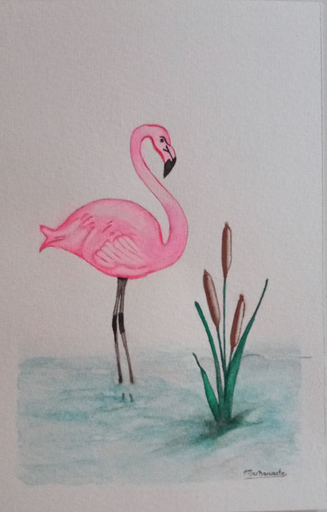 Flamingo