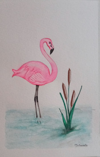 Flamingo Acuarela Papel Animales