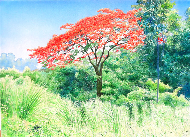 Framboyán Watercolour Paper Landscaping