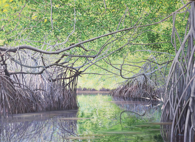 Manglar Oil Canvas Landscaping