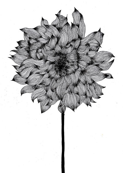 Flor