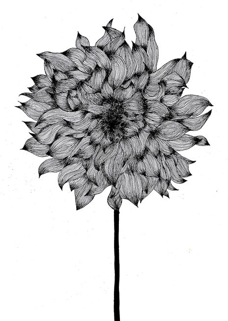Flor