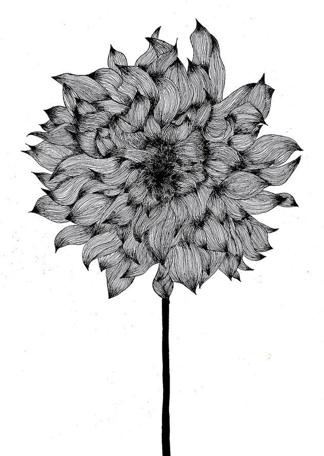 Flor
