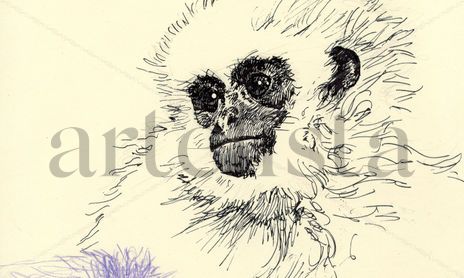 Dibujos y bocetos sobre papel/cartón