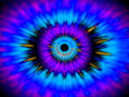 ojo