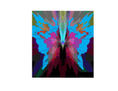 mariposa