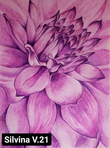 Mi dalia