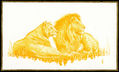 Leones / Lions