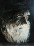 el viejo vasco