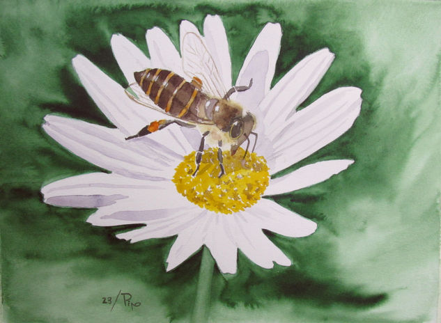 abeja con margarita Watercolour Paper Floral Painting