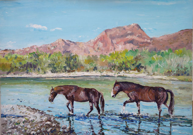 Caballos salvajes cruzando el rio