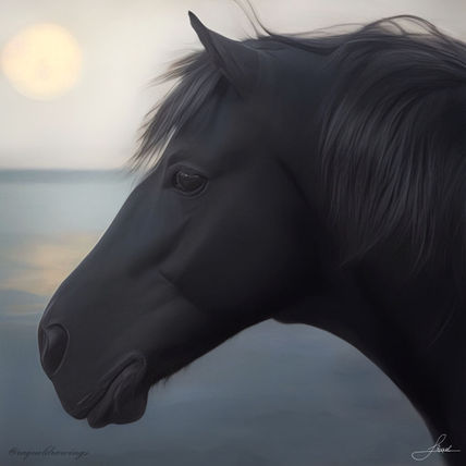 Caballo Negro