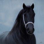 Caballos thumbnail 1