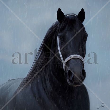 Caballo Negro bajo...