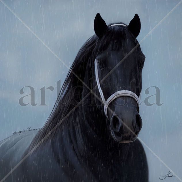 Caballo Negro bajo la lluvia
